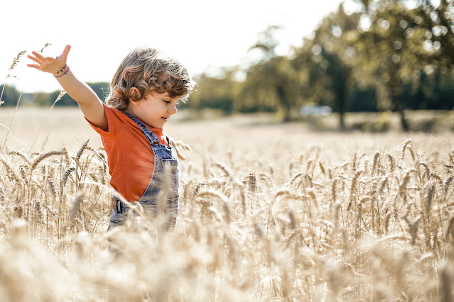Innocent child playing in field of corn